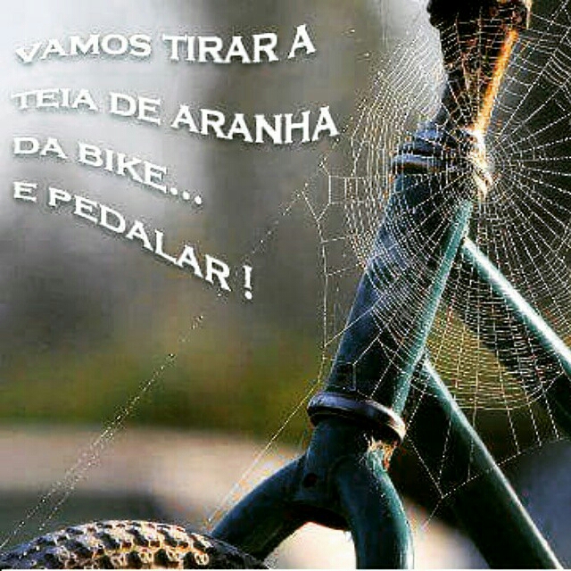 Vamos tirar a teia de aranha da Bike... E Pedalar !