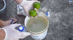 Desengraxante Caseiro para Bike: Limpeza Eficiente com Suco de Limão e Detergente
